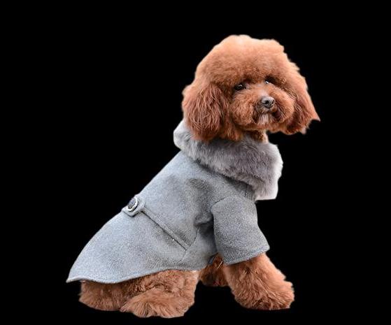 Smart Dog Coat with Fur Collar