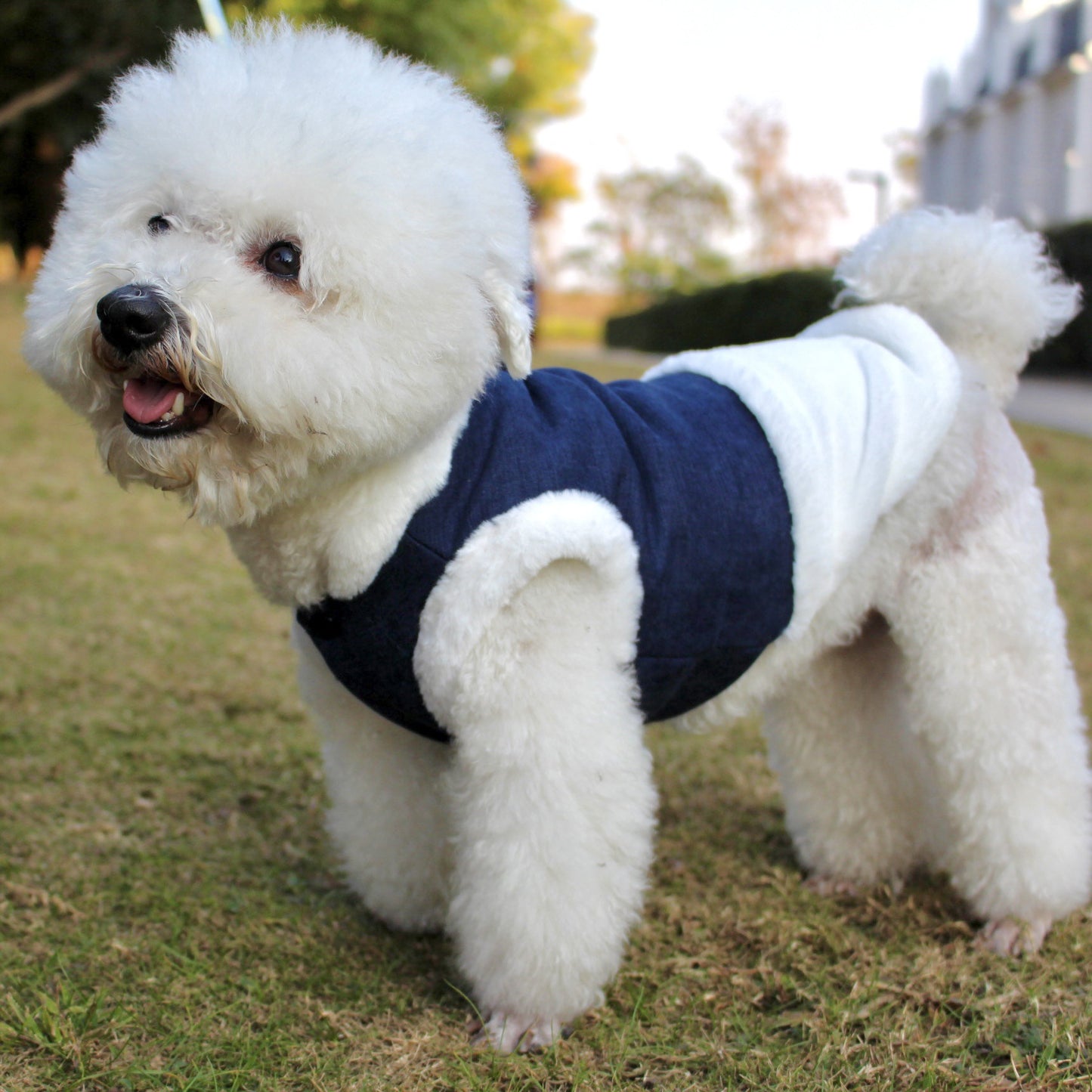 Plush Warm Dog Vest with Fur Collar