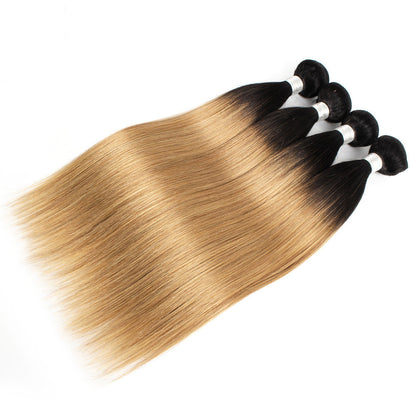 T1b / 27 Brazilian Real Hair Extensions