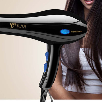 Deliya High-Power Blue Light Negative Ion Hair Dryer