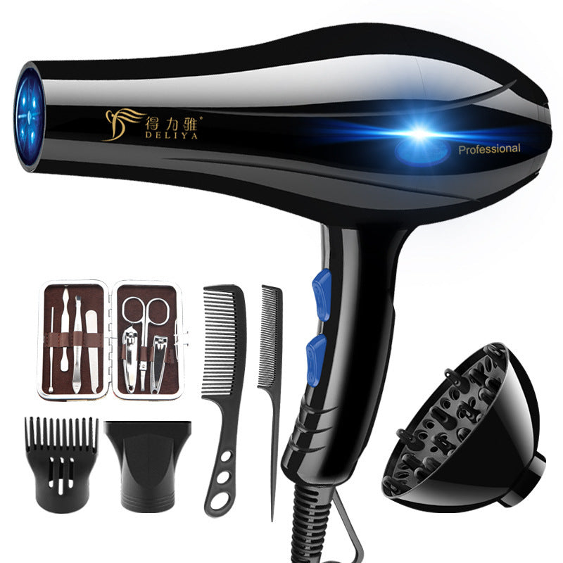 Deliya High-Power Blue Light Negative Ion Hair Dryer