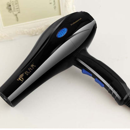 Deliya High-Power Blue Light Negative Ion Hair Dryer