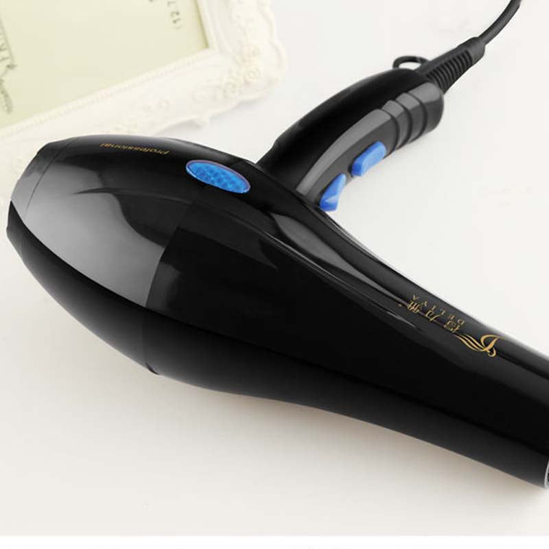 Deliya High-Power Blue Light Negative Ion Hair Dryer