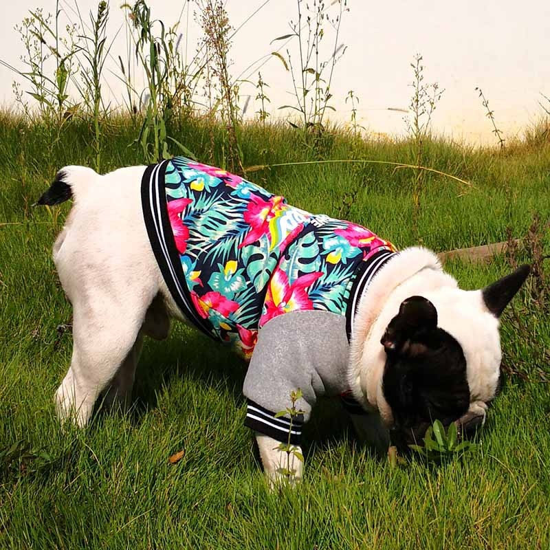 Soft Fleece Pet Dog Stretch Printed Jacket