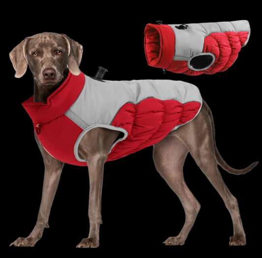 Red Reflective Waterproof Padded Dog Vest 