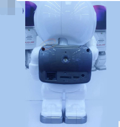 Astronaut Boy Robot Camera - Secure Your Space