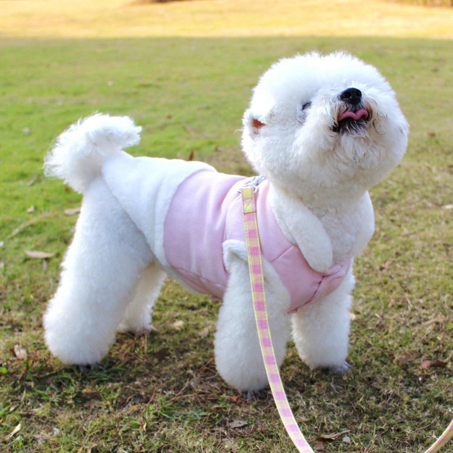 Plush Warm Dog Vest with Fur Collar