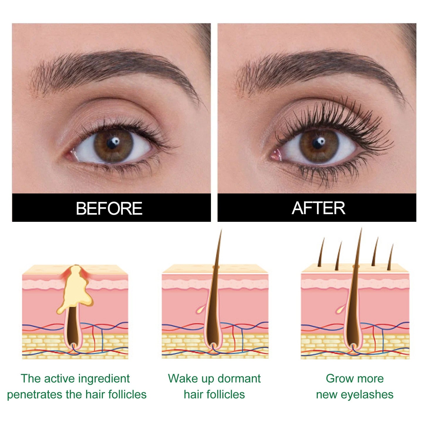 Lash Elixir Boost: West & Mount Strengthening Eyelash Serum