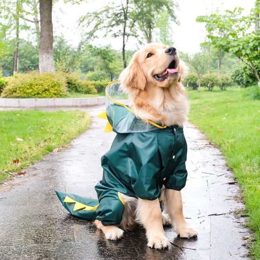 Dog  All-inclusive Transformation Raincoat