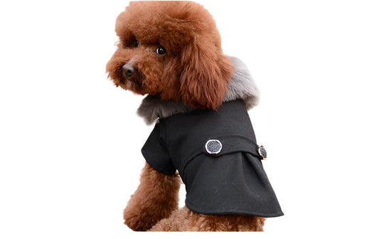 Smart Dog Coat with Fur Collar